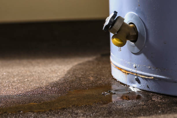 Best Water damage restoration near me  in Minnetonka, MN