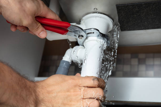 Best Water damage cleanup near me  in Minnetonka, MN