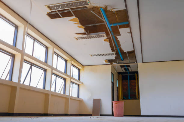 Best Residential water damage restoration  in Minnetonka, MN