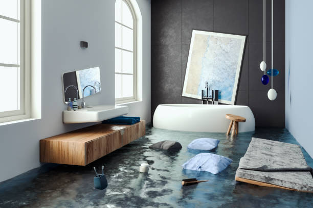 Best Sewage cleanup and water damage restoration  in Minnetonka, MN