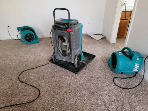 Best Flooded house restoration  in Minnetonka, MN