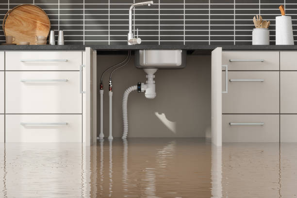 Best 24/7 water damage repair  in Minnetonka, MN