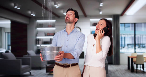 Best Water damage repair service  in Minnetonka, MN