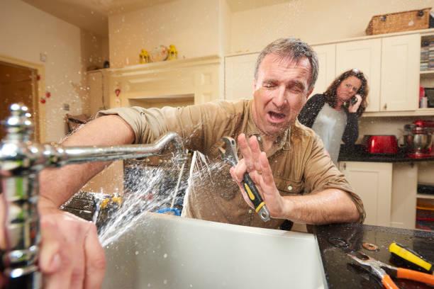 Best Flood damage cleanup  in Minnetonka, MN